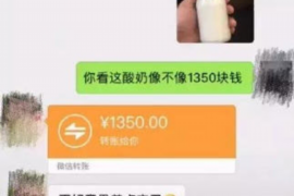 林西如果欠债的人消失了怎么查找，专业讨债公司的找人方法